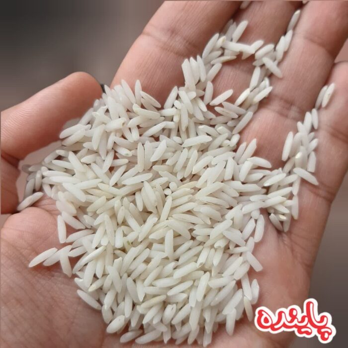 برنج هاشمی گیلان پاینده - Image 4