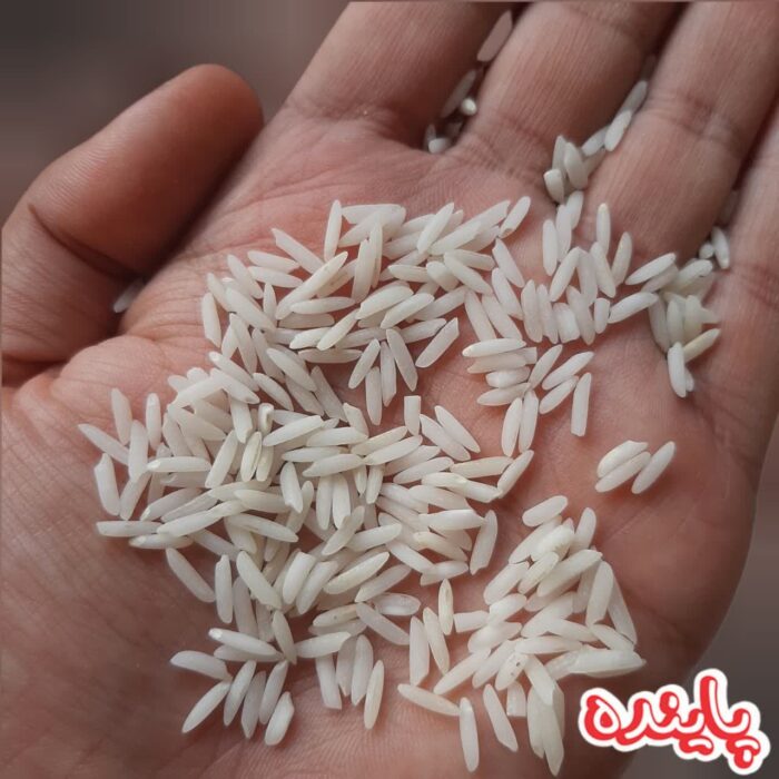 برنج هاشمی گیلان پاینده - Image 3
