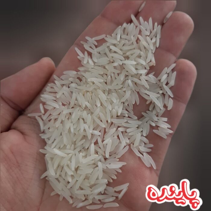 برنج فجر گرگان پاینده - Image 3