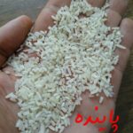 برنج لاشه فجرگرگان پاینده - Image 4