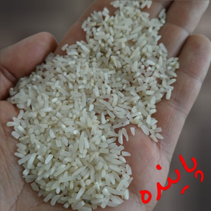 لاشه فجرگرگان