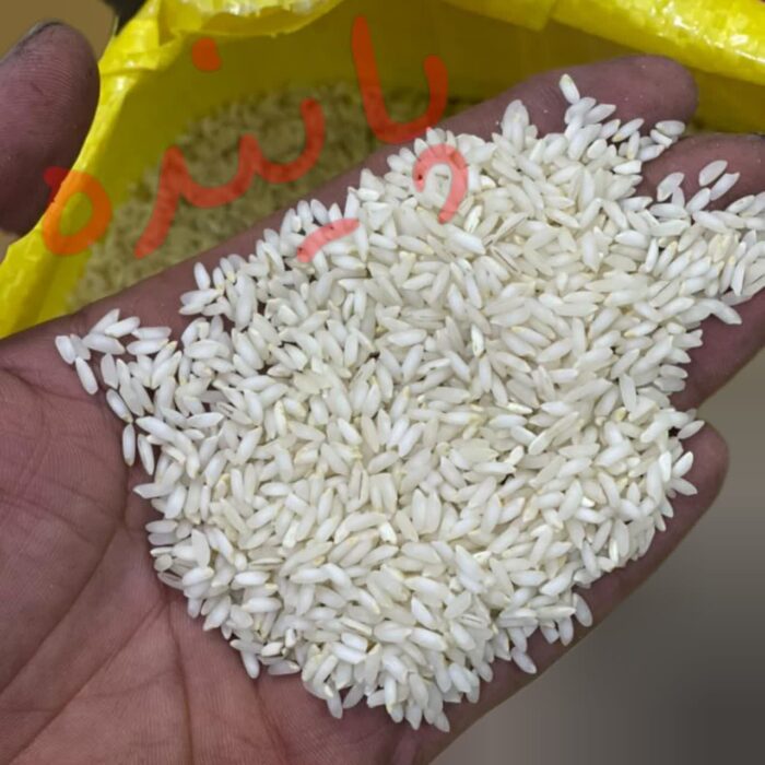 برنج عنبربو شوشتر پاینده - Image 3