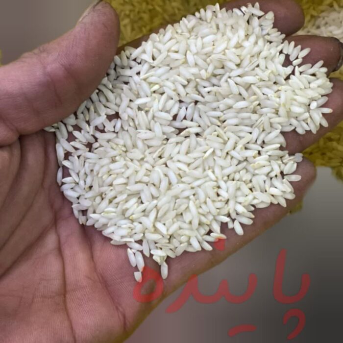 برنج عنبربو شوشتر پاینده - Image 4