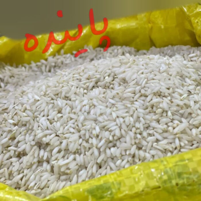 برنج عنبربو شوشتر پاینده - Image 2