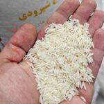 برنج شیرودی