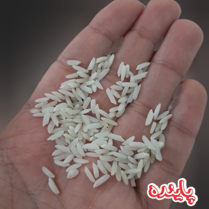 برنج ممان میانه پاینده - Image 2