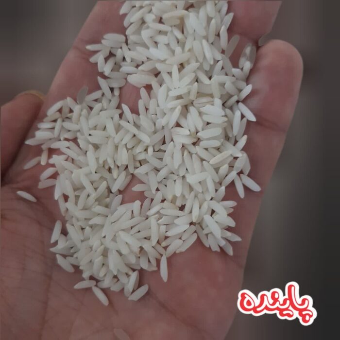 برنج ممان میانه پاینده - Image 3