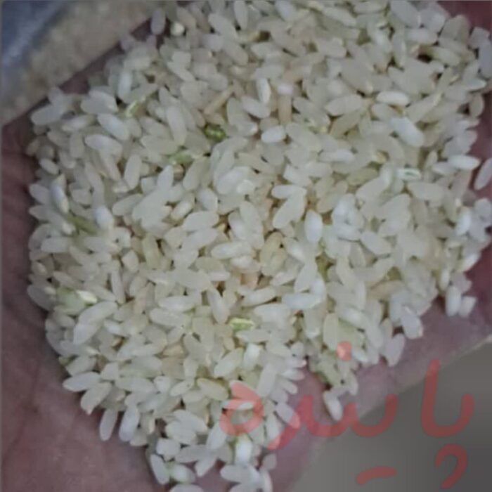 برنج لنجان پاینده - Image 2