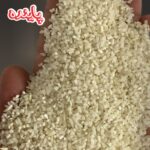 نیم دانه طارم هاشمی