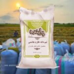 نیم دانه طارم هاشمی