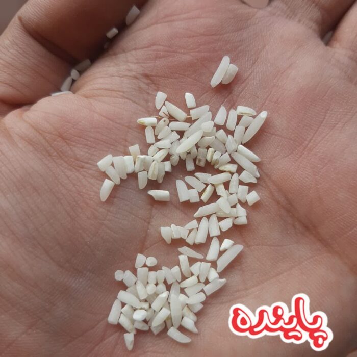 برنج لاشه هاشمی گیلان