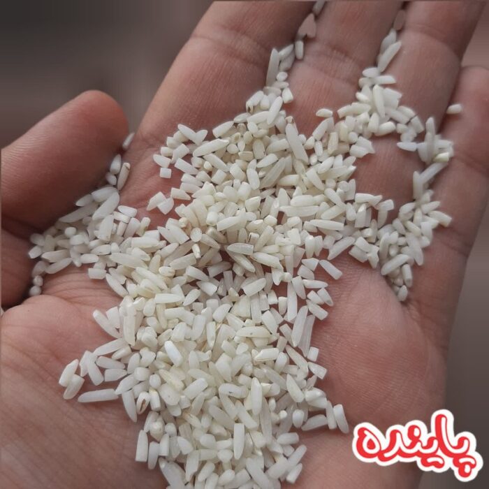 برنج لاشه هاشمی گیلان