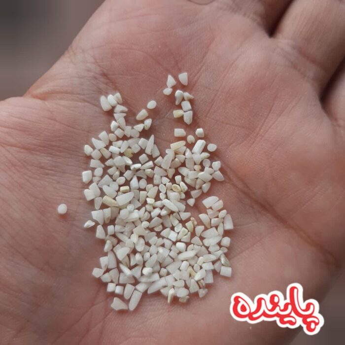 نیم دانه هاشمی گیلان