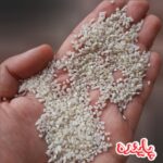 برنج نیم دانه هاشمی گیلان پاینده - Image 4