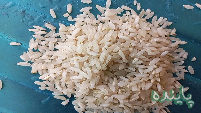 برنج لنجان خوب با قیمت عالی کد 145