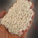 برنج علی کاظمی