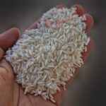 برنج علی کاظمی