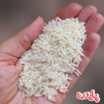 برنج دم سیاه گیلان