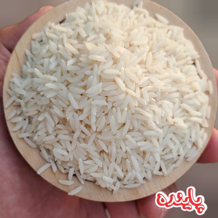 برنج زرد دم گیلان