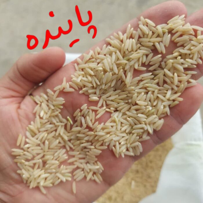 برنج قهوه ای هاشمی