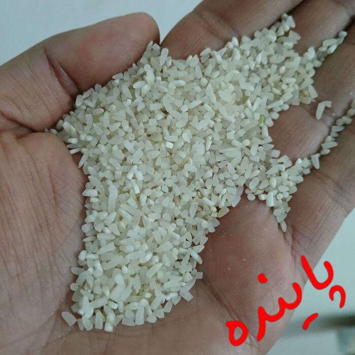 نیم دانه فجرگرگان