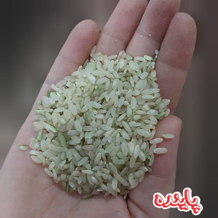 برنج قهوه ای کامفیروز پاینده - Image 2