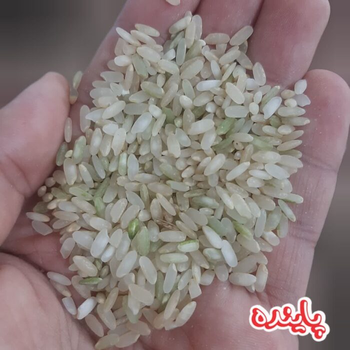 برنج قهوه ای کامفیروز