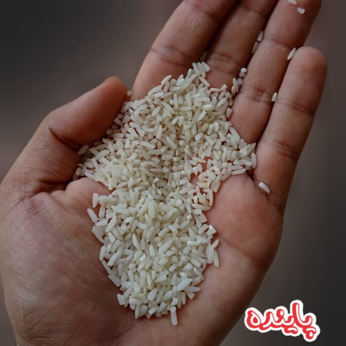 برنج لاشه دم سیاه مینودشت پاینده - Image 2