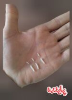 برنج محلی زنجان