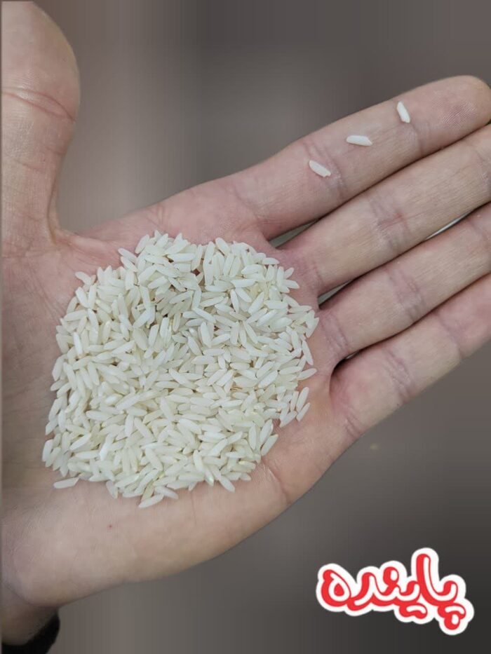 برنج محلی زنجان