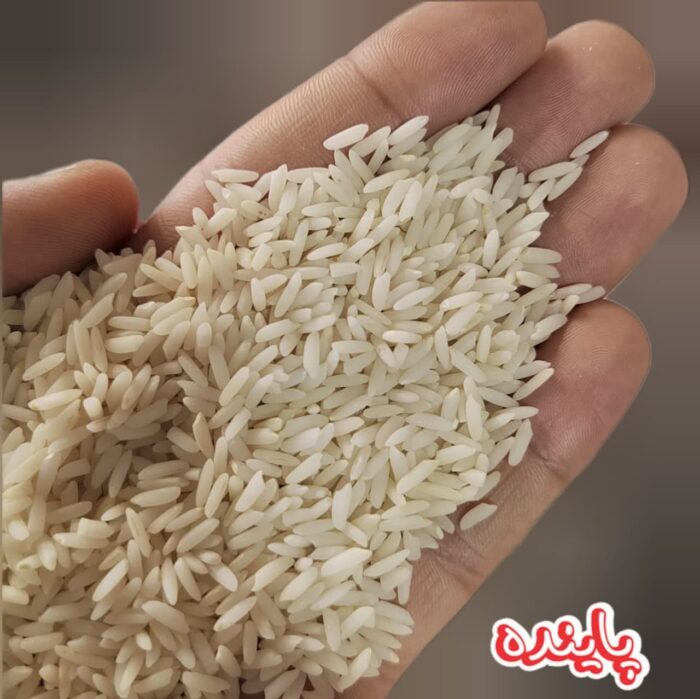 علی کاظمی زنجان77