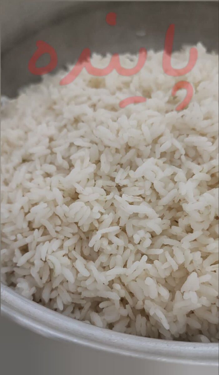 برنج چمپا لردگان