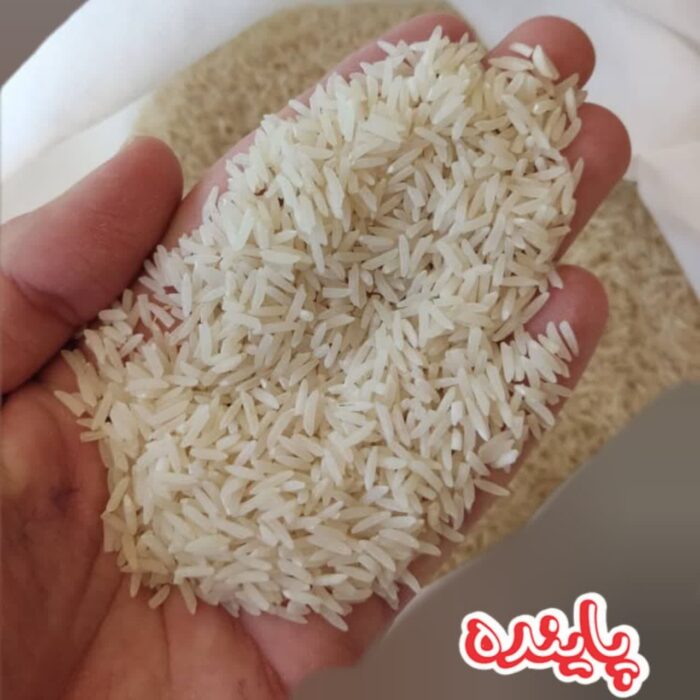 برنج فجر گیلان پاینده - Image 2