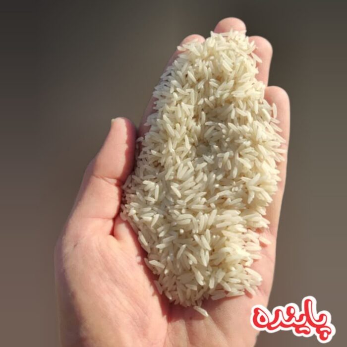 برنج فجر گیلان پاینده - Image 3