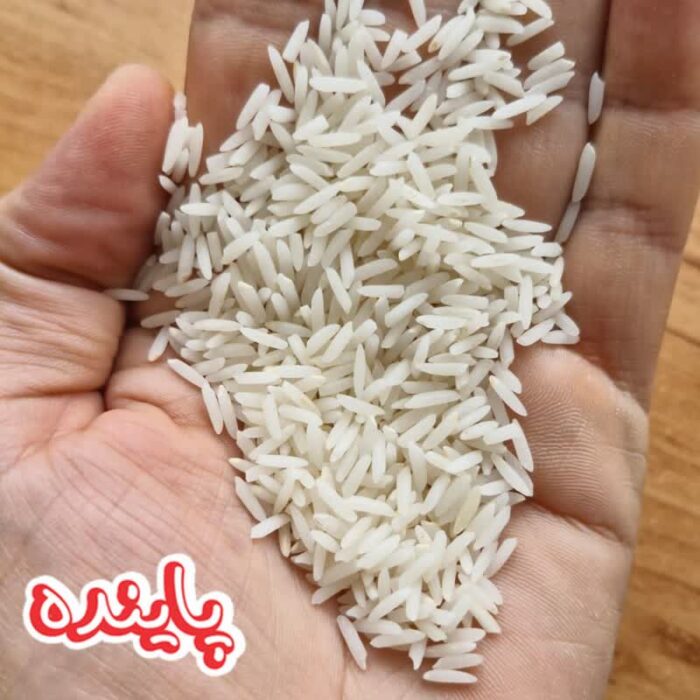 برنج دم سیاه استخوانی