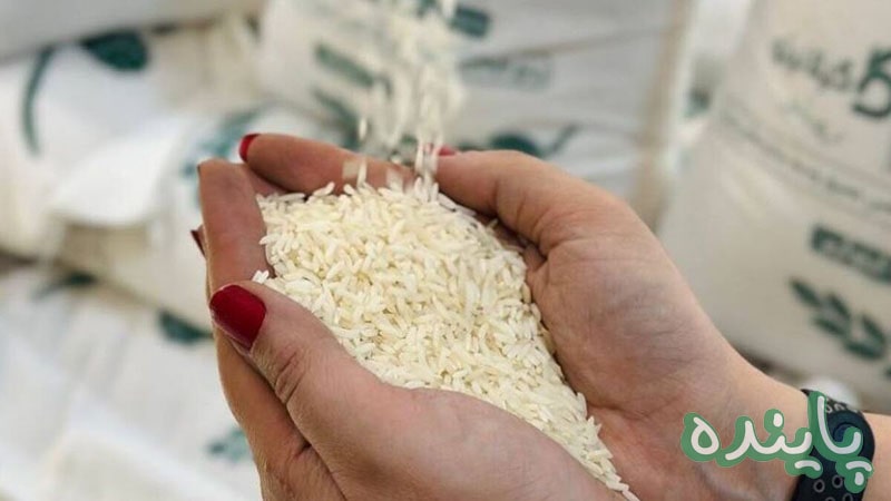برنج هاشمی