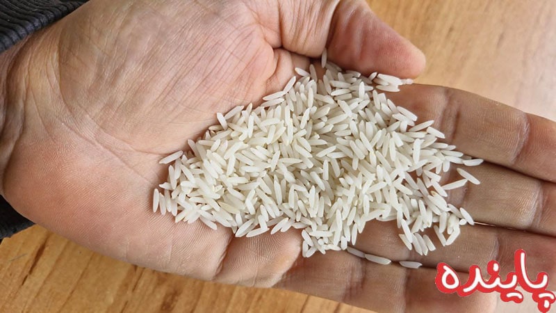 برنج دم سیاه