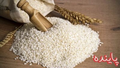برنج نیم دانه چیست؟ ( معرفی انواع آن، کاربرد تا طرز پخت )