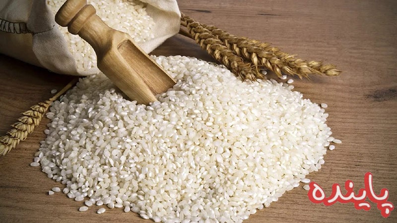 برنج نیم دانه چیست؟ ( معرفی انواع آن، کاربرد تا طرز پخت )