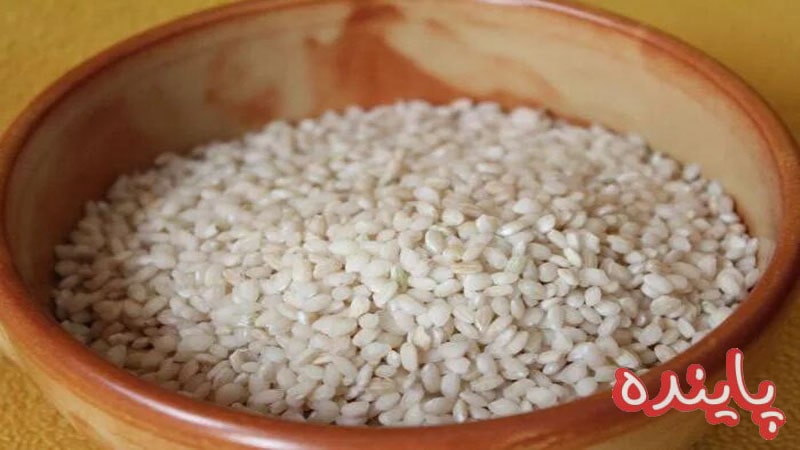 برنج نیم دانه چیست؟ ( معرفی انواع آن، کاربرد تا طرز پخت )