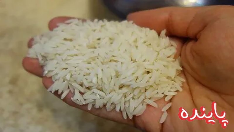 برنج طارم هاشمی چیست؟ از تاریخچه تا نحوه ی نگهداری و پخت آن
