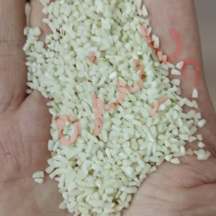 برنج لاشه ممان میانه پاینده - Image 4