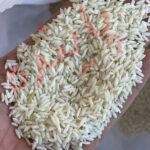 برنج طارم لرستان