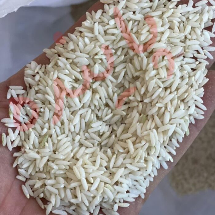 برنج طارم لرستان