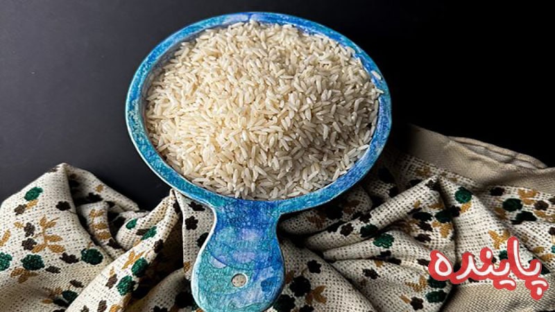 معرفی برنج شیرودی از 0 تا 100 | از تاریخچه تا قیمت و خرید